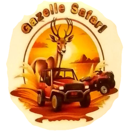 Gazelle Safari Marsa Alam